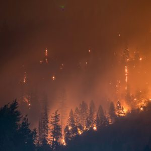 Photo de Matt Howardsur Unsplash