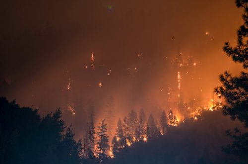 Photo de Matt Howardsur Unsplash
